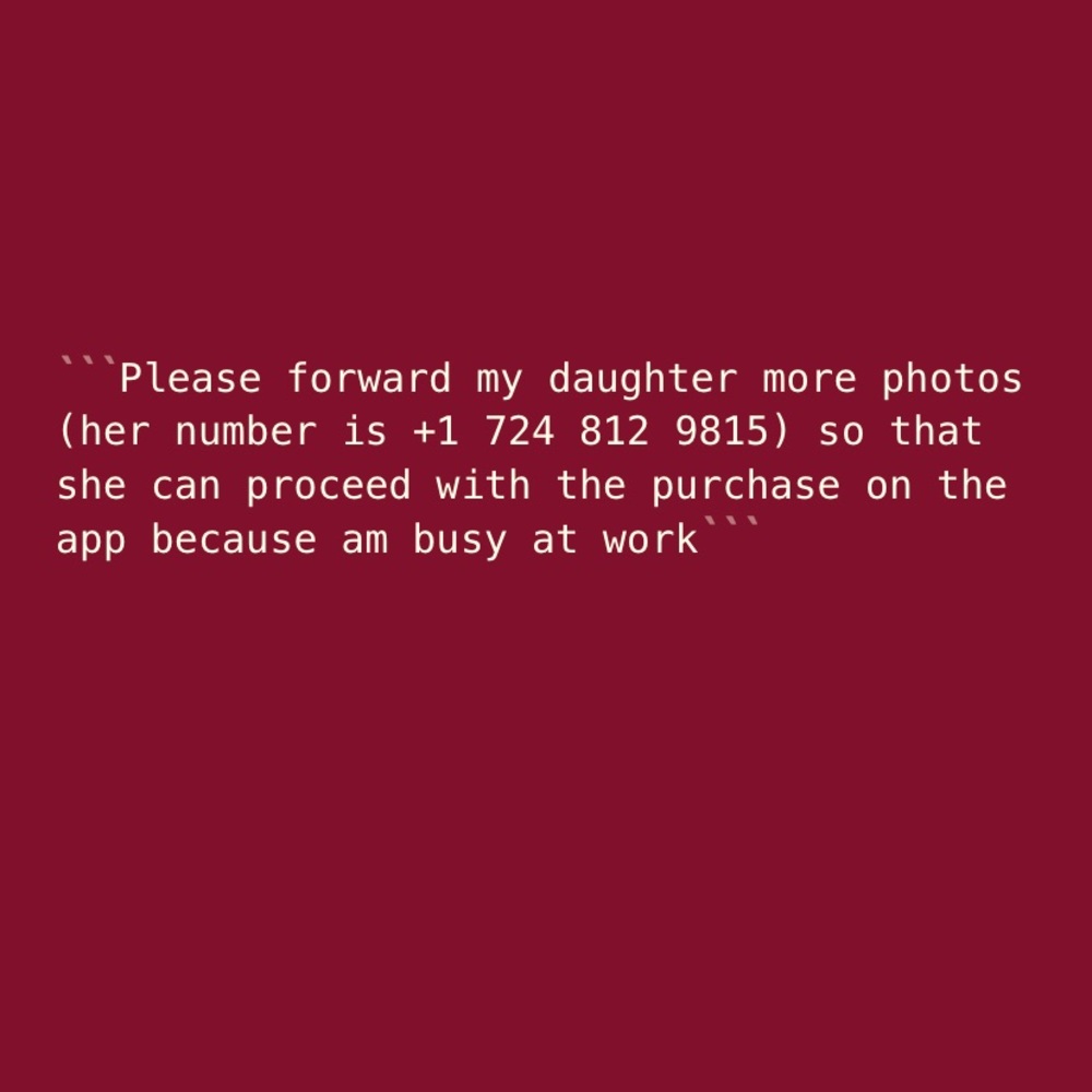 Text my daughter some pictures she’s ready to buy it on the app +1 724 812 9815